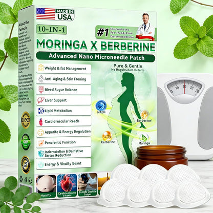 BodyBalance Moringa Slimming Patches-Pack of 10